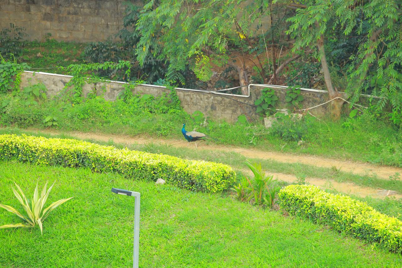Five Falls Resort Kuttalam  Luaran gambar